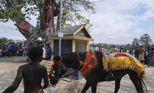 A man leads a horse past a shrine during He Neak Ta rituals in Phum Boeung village, northwest of Phnom Penh, Cambodia, Tuesday, June 11, 2024. Cambodian villagers on Tuesday took part in a rare traditional guardian spirit ceremony praying for good fortune, rain and prosperity, as they aimed to preserve this ancient tradition. (AP Photo/Heng Sinith)