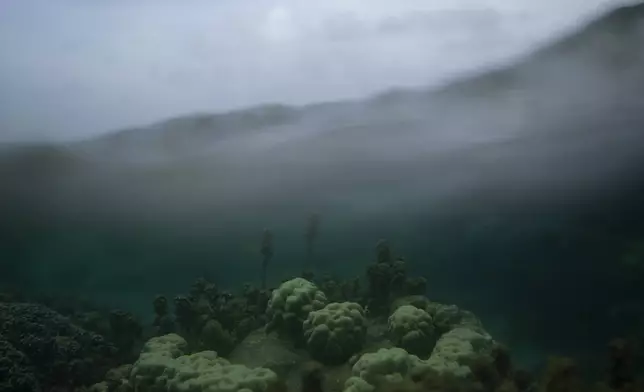 The coral reef is visible beneath the water in Teahupo'o, Tahiti, French Polynesia, Monday, Jan. 15, 2024. (AP Photo/Daniel Cole)