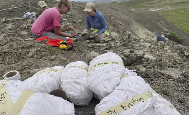 In this photo provided by Giant Screen Films, chief preparator Natalie Toth, left, of the Denver Museum of Nature and Science, examines fossilized plants from the Cretaceous period in a moment captured by the crew of the documentary "T.REX," at a fossil dig site in North Dakota, named “The Brothers.” (Andy Wood/Giant Screen Films via AP)