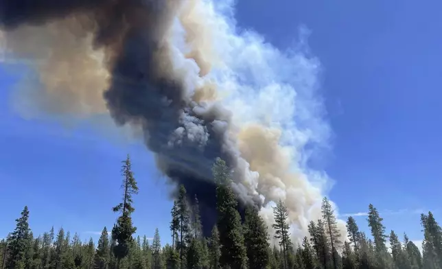 In this photo provided by the Deschutes County Sherriff's Office, smoke rises from a wildfire near La Pine, Ore., Tuesday, June 25, 2024. Gusty winds fueled a rapidly growing wildfire just outside the central Oregon community of La Pine and prompted evacuations. (Sgt. Kyle Kalambach/Deschutes County Sherriff's Office via AP)