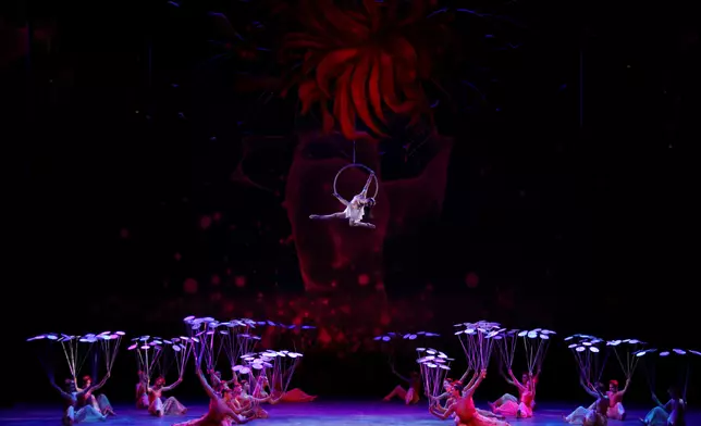 China National Acrobatic Troupe returns in July to open International Arts Carnival with "Me and My Youth"  Source: HKSAR Government Press Releases