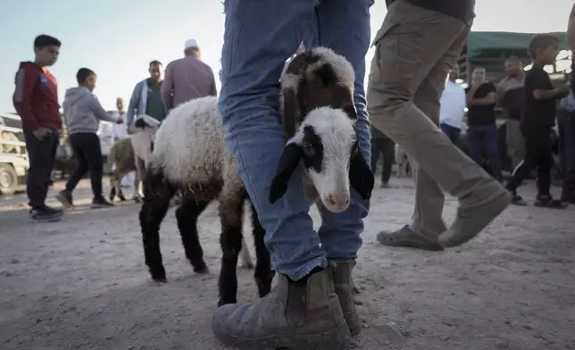 Palestinians shop for animals for the upcoming Eid al-Adha holiday at a livestock market in the West Bank city of Nablus, Thursday, June 13, 2024. Muslims around the world will celebrate the four-day Eid al-Adha, the Feast of the Sacrifice. It commemorates the Prophet Ibrahim's willingness to sacrifice his son Ismail as recounted in the Quran. (AP Photo/Majdi Mohammed)