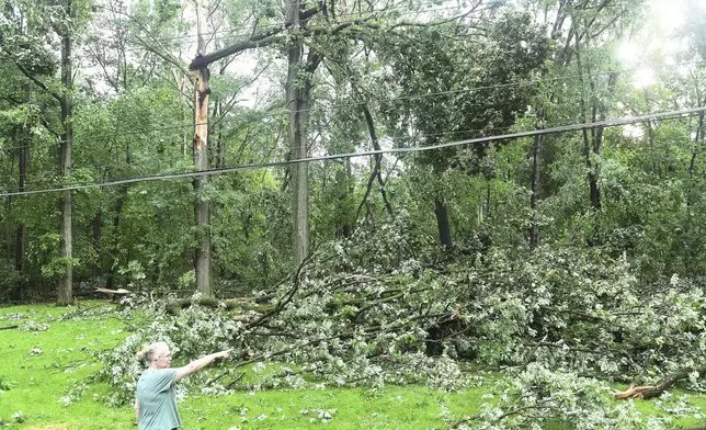 Sheri Redd points to trees behind her home on Hubbard Street after a storm in Livonia, Mich., Wednesday, June 5, 2024. (Robin Buckson/Detroit News via AP)