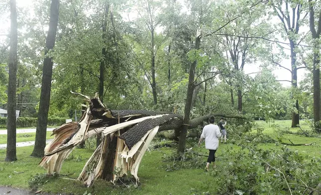 Laure (cq) Hibberd and her son, Johnny Hibberd walk past a downed tree at Rotary Park after a tornado swept through the area in Livonia, Mich., Wednesday, June 5, 2024. (Robin Buckson/Detroit News via AP)