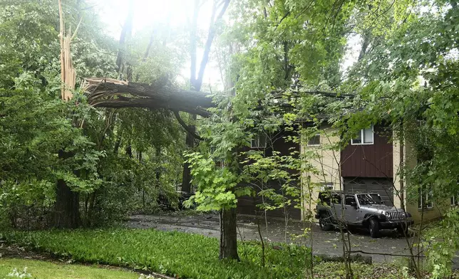 A downed tree lays on the roof of a home on Hubbard Street after a tornado swept through the area in Livonia, Mich., Wednesday, June 5, 2024. (Robin Buckson/Detroit News via AP)