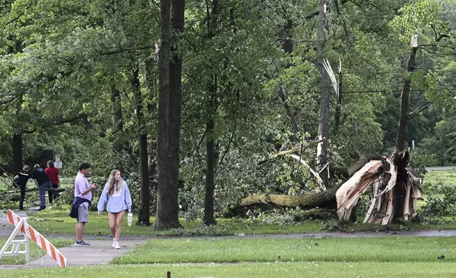 People walk around Rotary Park looking at downed trees after a tornado swept through the area in Livonia, Mich., Wednesday, June 5, 2024. (Robin Buckson/Detroit News via AP)