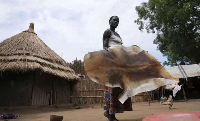 A woman carries antelope skin outside her house in Otallo village, South Sudan, Wednesday, June 19, 2024. The country's first comprehensive aerial wildlife survey, released Tuesday, June 25, found about 6 million antelope. (AP Photo/Brian Inganga)