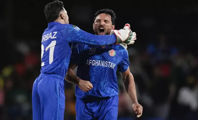 Afghanistan's Rahmanullah Gurbaz congratulates teammate Gulbadin Naib, right, after taking the wicket of Australia's Tim David during the men's T20 World Cup cricket match between Afghanistan and Australia at Arnos Vale Ground, Kingstown, Saint Vincent and the Grenadines, Saturday, June 22, 2024. (AP Photo/Ramon Espinosa)