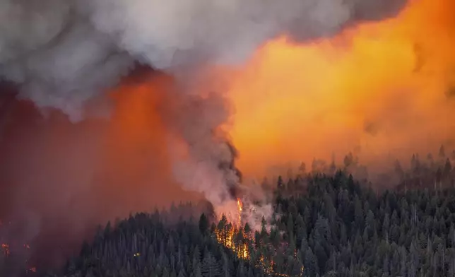 Embers spark a spot fire as the Park Fire burns below Highway 32 near Lomo in Butte County, Calif., Friday, July 26, 2024. (AP Photo/Noah Berger)