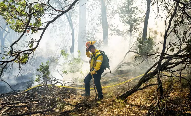 A firefighter pauses while trying to keep the Park Fire from jumping Highway 32 near Forest Ranch in Butte County, Calif., Friday, July 26, 2024. (AP Photo/Noah Berger)