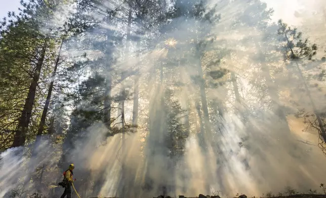 A firefighter monitors a burn operation on Highway 32 to combat the Park Fire near Forest Ranch, Calif., Sunday, July 28, 2024. (AP Photo/Nic Coury)