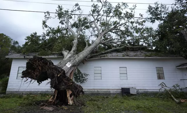 An upended tree rests on Bethel Church after Hurricane Beryl moved through the area, Monday, July 8, 2024, in Van Vleck, Texas. (AP Photo/Eric Gay)