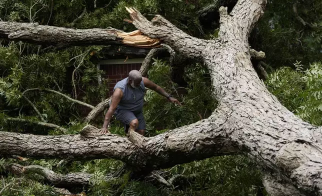 Hook Jefferson assesses damages after a tree fell on his neighbor's home after Hurricane Beryl hit the Texas coast, Monday, July 8, 2024, in Bay City, Texas. (AP Photo/Eric Gay)