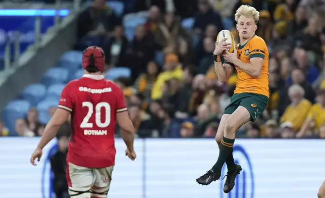 Australia's Tom Lynagh leaps to take the ball during the rugby international between Australia and Wales in Sydney, Australia, Saturday, July 6, 2024. (AP Photo/Rick Rycroft)