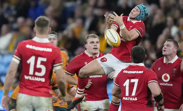 Wales' Josh Hathaway attempts to catch the ball during the rugby international between Australia and Wales in Sydney, Australia, Saturday, July 6, 2024. (AP Photo/Rick Rycroft)