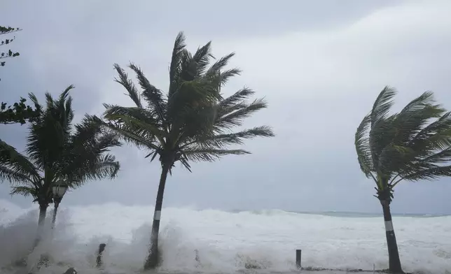 Waves batter palm trees as Hurricane Beryl passes through Hastings, Barbados, Monday, July 1, 2024. (AP Photo/Ricardo Mazalan)