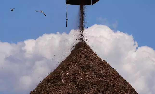 Birds fly past a pile of wood used to make pellets during a tour of a Drax facility in Gloster, Miss., Monday, May 20, 2024. Wood pellet production skyrocketed across the U.S. South to feed the European Union's push this past decade for renewable energy to replace fossil fuels like coal. (AP Photo/Gerald Herbert)