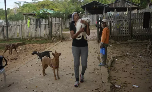 Venezuelan migrant Johany “Flaca” Rodriguez carries her dog Kiko at a shelter in Assis, Brazil, Thursday, June 20, 2024. Rodriguez has been biding her time at the shelter because countrymen told her how difficult the journey to the U.S. has become. (AP Photo/Martin Mejia)