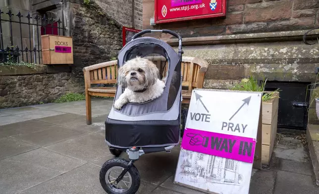 Joey, the Shih Tzu, waits outside the polling station as their owner votes in the general election at St James' Church, Goldenacre, in Edinburgh, Scotland, Thursday July 4, 2024. (Jane Barlow/PA via AP)