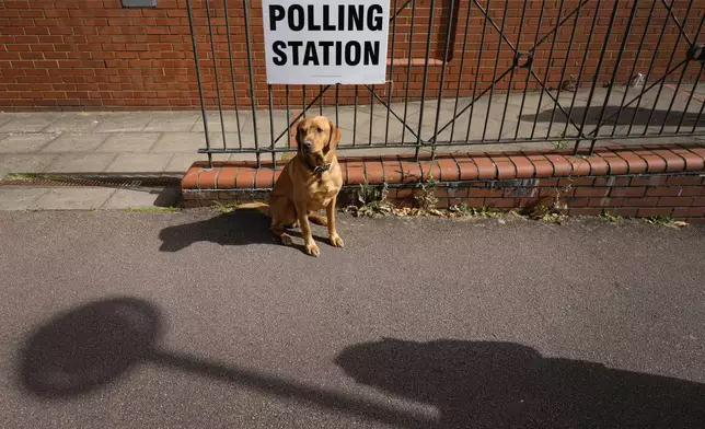 A dog sits outside a polling station in Southfields in London, Thursday, July 4, 2024. Voters in the U.K. are casting their ballots in a national election to choose the 650 lawmakers who will sit in Parliament for the next five years. Outgoing Prime Minister Rishi Sunak surprised his own party on May 22 when he called the election. (AP Photo/Kirsty Wigglesworth)