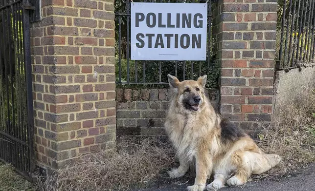 A dog waits for its owner outside the polling station at Coulsdon Memorial Park, Croydon, England, during voting in the 2024 General Election, Thursday July 4, 2024. Voters in the U.K. are casting their ballots in a national election to choose the 650 lawmakers who will sit in Parliament for the next five years. Outgoing Prime Minister Rishi Sunak surprised his own party on May 22 when he called the election. (James Weech/PA via AP)