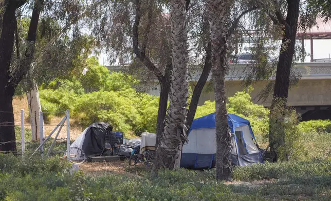 A homeless encampment sits set up next to an off-ramp to the CA-105 freeway Friday, July 26, 2024, in Los Angeles. (AP Photo/Damian Dovarganes)