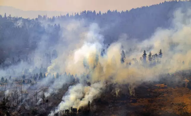 The Park Fire burns near Butte Meadows, Calif., Monday, July 29, 2024. (AP Photo/Nic Coury)