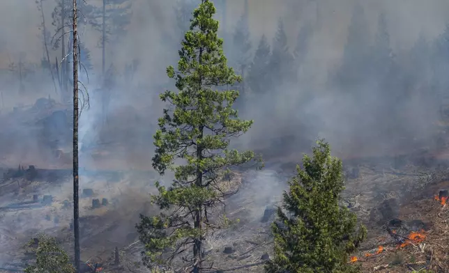 The Park Fire burns along Highway 32 near Forest Ranch, Calif., Sunday, July 28, 2024. (AP Photo/Nic Coury)