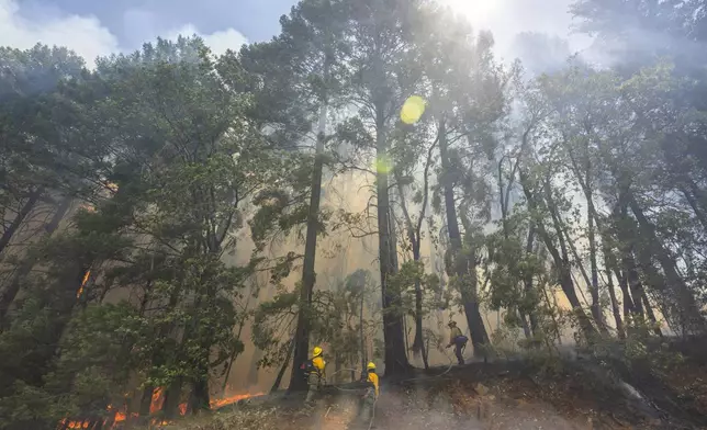 Fire crews battle the Park Fire as it burns along Highway 32 near Forest Ranch, Calif., Sunday, July 28, 2024. (AP Photo/Nic Coury)