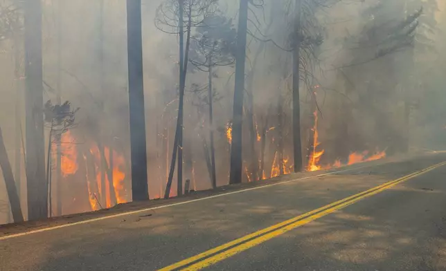 The Park Fire burns along Highway 32 near Forest Ranch, Calif., Sunday, July 28, 2024. (AP Photo/Nic Coury)