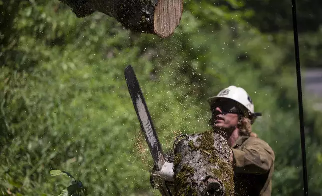 A Beckwourth Hot Shot cuts trees along Highway 32 to help control the Park Fire near Butte Meadows, Calif., Monday, July 29, 2024. (AP Photo/Nic Coury)