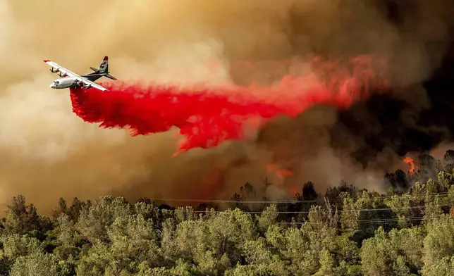 An air tanker drops retardant while battling the Thompson Fire in Oroville, Calif., Tuesday, July 2, 2024. An extended heat wave blanketing Northern California has resulted in red flag fire warnings and power shutoffs. (AP Photo/Noah Berger)