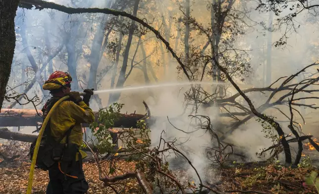 A firefighter sprays water on the Park Fire burning near Forest Ranch, Calif., Saturday, July 27, 2024. (AP Photo/Nic Coury)