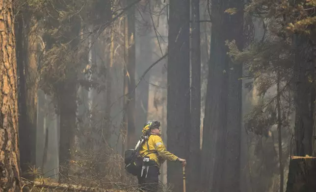 A firefighter monitors trees burned in the Park Fire along Highway 32 near Forest Ranch, Calif., Tuesday, July 30, 2024. (AP Photo/Nic Coury)