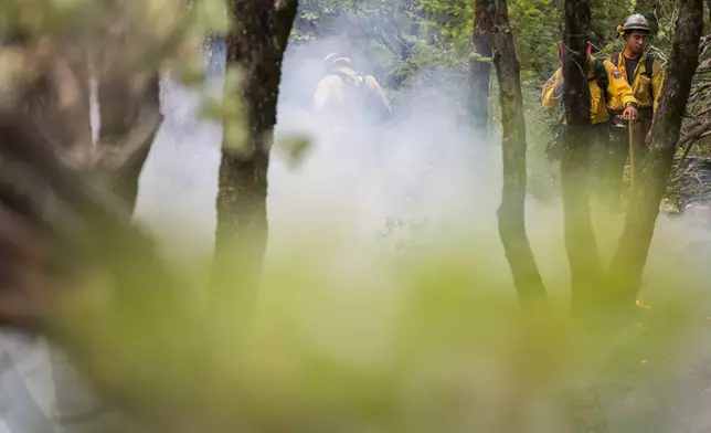 Firefighters monitor the Park Fire near Forest Ranch, Calif., Saturday, July 27, 2024. (AP Photo/Nic Coury)