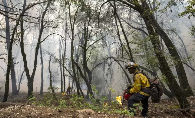 CalFire firefighter David Metters lights a burn operation to mitigate the Park Fire near Forest Ranch, Calif., Saturday, July 27, 2024. (AP Photo/Nic Coury)