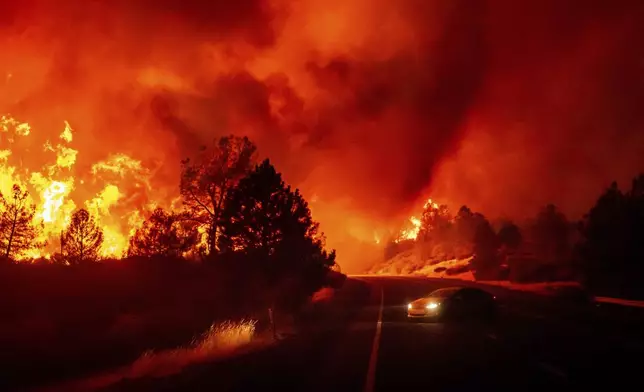 A resident turns around while trying to evacuate as the Park Fire jumps Highway 36 near Paynes Creek in Tehama County, Calif., on Friday, July 26, 2024. (AP Photo/Noah Berger)