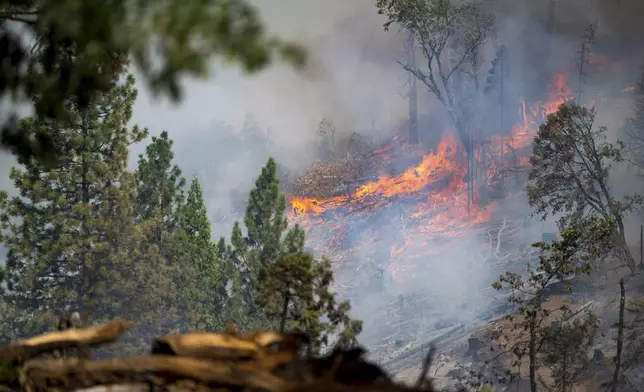 The Park Fire burns along Highway 32 near Forest Ranch, Calif., Sunday, July 28, 2024. (AP Photo/Nic Coury)