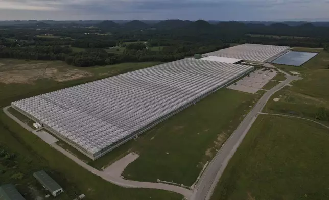 This photo shows a greenhouse in Morehead, Ky., formerly operated by AppHarvest, Wednesday, June 5, 2024. AppHarvest employees say they saw colleagues carried out on makeshift stretchers due to heat, and dozens more helped outside on others' shoulders. (AP Photo/Joshua A. Bickel)