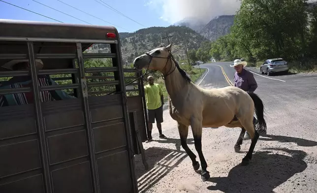 Wranglers from Sylvan Dale Ranch round up horses to put on trailers to take them to safely away from the Alexander Mountain Fire burning Monday, July 29, 2024, near Loveland, Colo. (Helen H. Richardson/The Denver Post via AP)