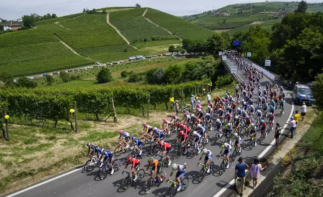 The pack climbs the hills and vineyards around Cuneo during the third stage of the Tour de France cycling race over 230.8 kilometers (143.4 miles) with start in Piacenza and finish in Turin, Italy, Monday, July 1, 2024. (AP Photo/Jerome Delay)