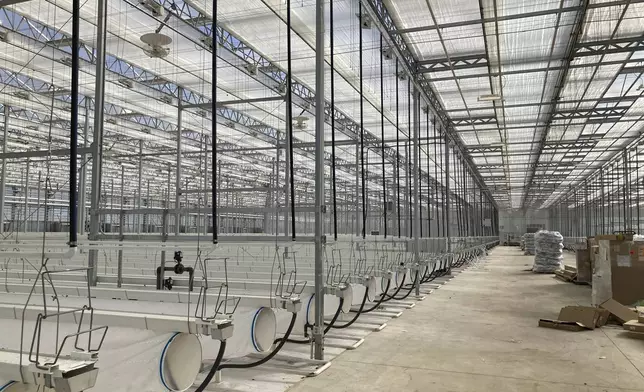 This photo shows the interior of the first greenhouse of the Mandan, Hidatsa and Arikara Nation's Native Green Grow complex, taken April 3, 2024, near Parshall, N.D. The greenhouse is part of the first of four phases MHA Nation has planned for the growing operation. (RML Architects via AP)