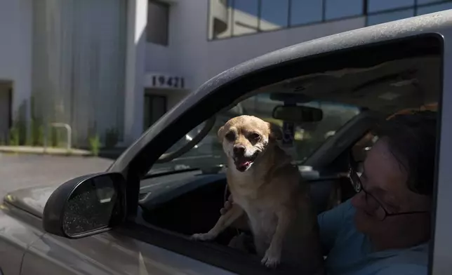 Sherri Thompson, with her chihuahua 14-year-old Kiwahi, waits in her vehicle for the Cook Plaza cooling center to open on Friday, July 5, 2024, in Gresham, Ore. Thompson has lived in her car for three years, and can only run its air conditioning for about 20 minutes at a time as it causes the engine to overheat. A heat wave is spreading across Wester U.S., the national Weather Service said, sending many residents in search of a cool haven from the dangerously high temperatures. (AP Photo/Jenny Kane)