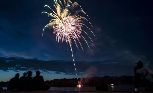 Community members take in the fireworks at Ellis Park in Cedar Rapids, Iowa, Wednesday, July 3, 2024. (Nick Rohlman/The Gazette via AP)
