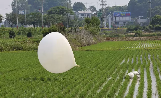 FILE - A balloon presumably sent by North Korea, is seen in a paddy field in Incheon, South Korea, on June 10, 2024. South Korea says North Korea has launched balloons likely carrying trash toward South Korea on Thursday July 18, 2024. (Im Sun-suk/Yonhap via AP, File)