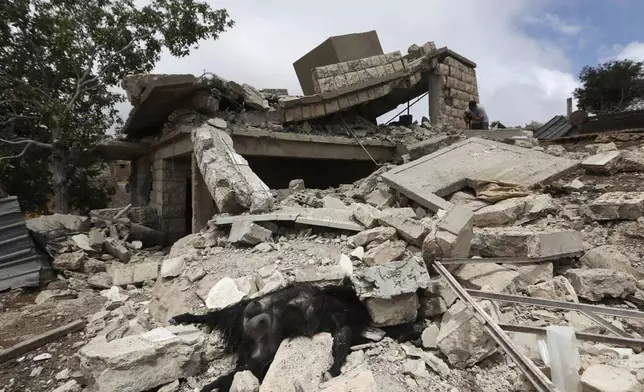 A dead goat lies on the rubble of a destroyed house that was hit by an Israeli airstrike and killed hundreds of goats on their livestock pen, in Toura mountain, south Lebanon, Monday, July 8, 2024. The strikes come as tensions continue to boil between Lebanon's Hezbollah group an the Israeli military along the Lebanon-Israel border over the past month, and as talks for a ceasefire in the Gaza Strip between Hamas and Israel are set to resume. (AP Photo/Mohammed Zaatari)