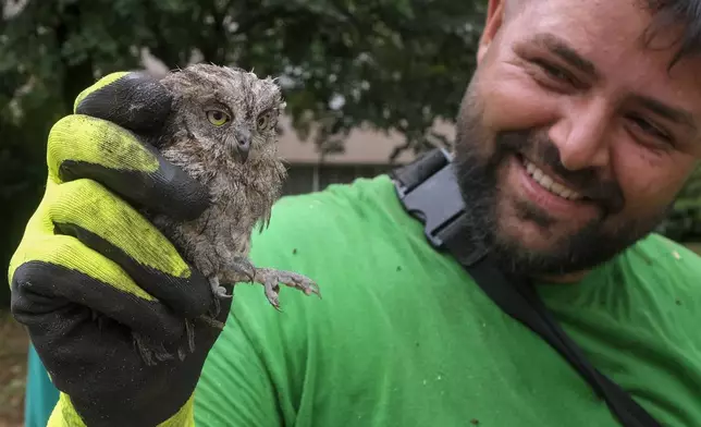 A municipal worker holds an owlet saved from a fallen tree after a powerful storm in Montenegro's capital Podgorica, Tuesday, July 2, 2024. A powerful storm has swept through countries in the western Balkans after several days of sizzling temperatures, killing two people and damaging houses, pulling out trees and flooding streets, officials said on Tuesday. (AP Photo/Risto Bozovic)