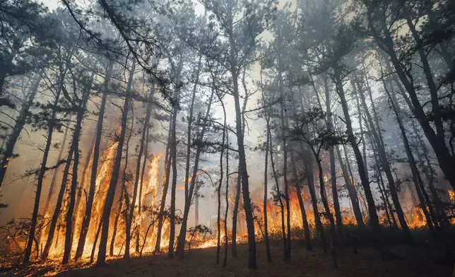 This Saturday, July 6, 2024 image provided by the New Jersey Department of Environmental Protection shows a forest fire in Tabernacle, N.J. The fire had burned 4,000 acres and was 75% contained as of Monday July 8. (New Jersey Department of Environmental Protection via AP)