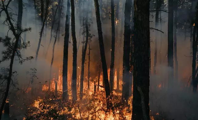 This Friday, July 5, 2024 image provided by the New Jersey Department of Environmental Protection shows a forest fire in Tabernacle, N.J. The fire had burned 4,000 acres and was 75% contained as of Monday July 8. (New Jersey Department of Environmental Protection via AP)