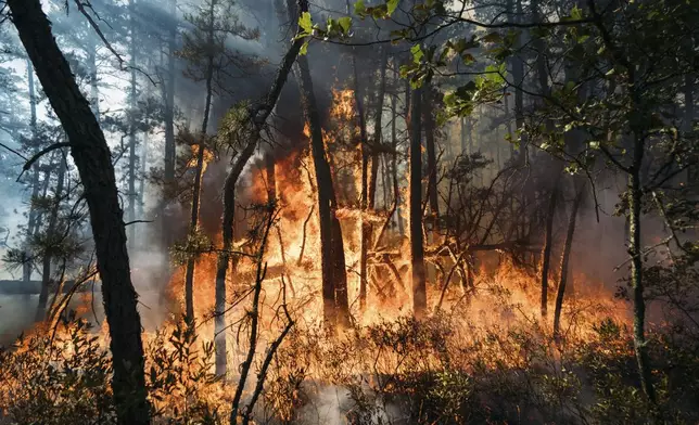 This Friday, July 5, 2024 image provided by the New Jersey Department of Environmental Protection shows a forest fire in Tabernacle, N.J. The fire had burned 4,000 acres and was 75% contained as of Monday July 8. (New Jersey Department of Environmental Protection via AP)